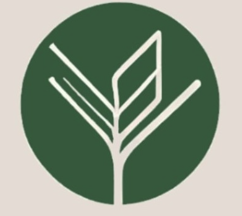 Learn N Grow logo